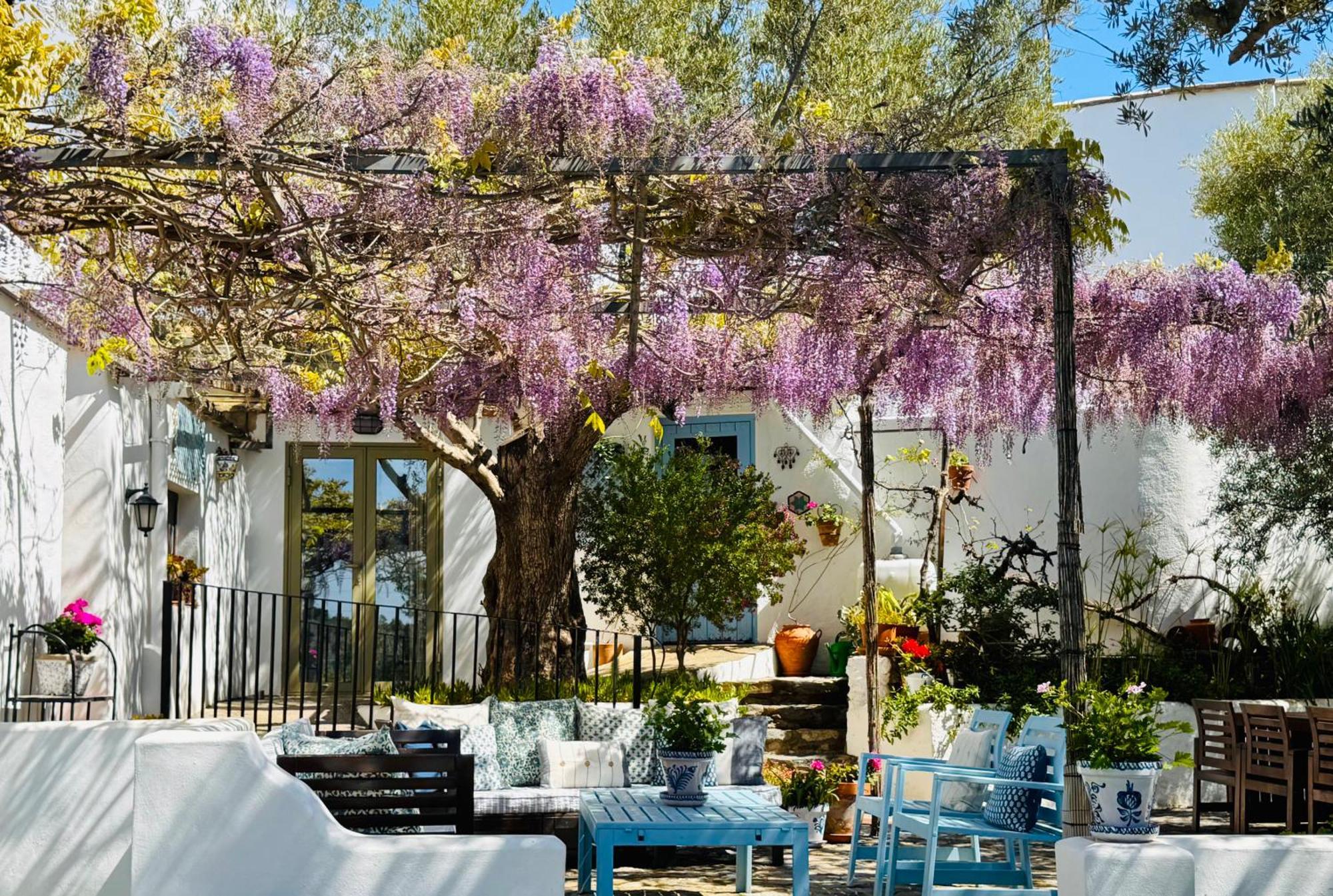 Вилла Almond Hill House Орхива Экстерьер фото